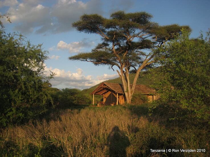 Mkomazi National Park Tanzania