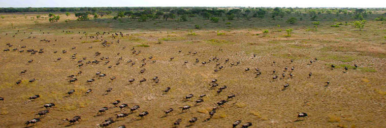 Bangweulu Wetlands uit de lucht Zambia