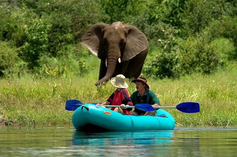 Kanoën op de Zambezi in Mana Pools National Park Zimbabwe