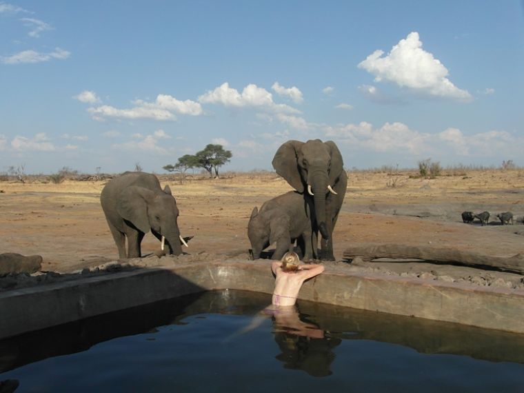 Zwemmen met olifanten Hwange National Park Zimbabwe