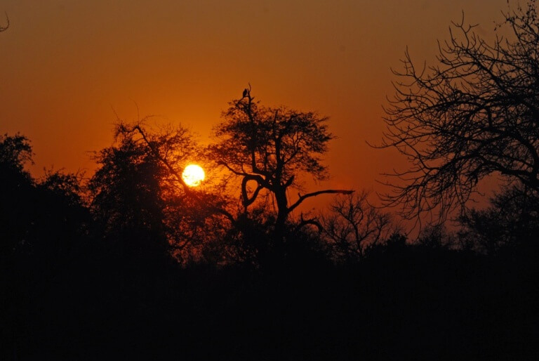 Zonsondergang in Lengwe National Park Malawi