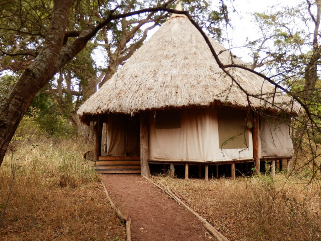 Kirurumu Tented Camp Tarangire National Park Tanzania