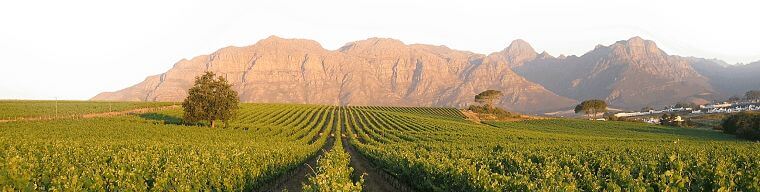 Kleine Salze Wine Estate Stellenbosch
