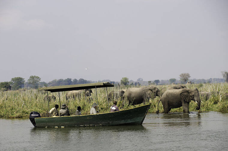 Boot safari op Shire rivier in Liwonde National Park Malawi