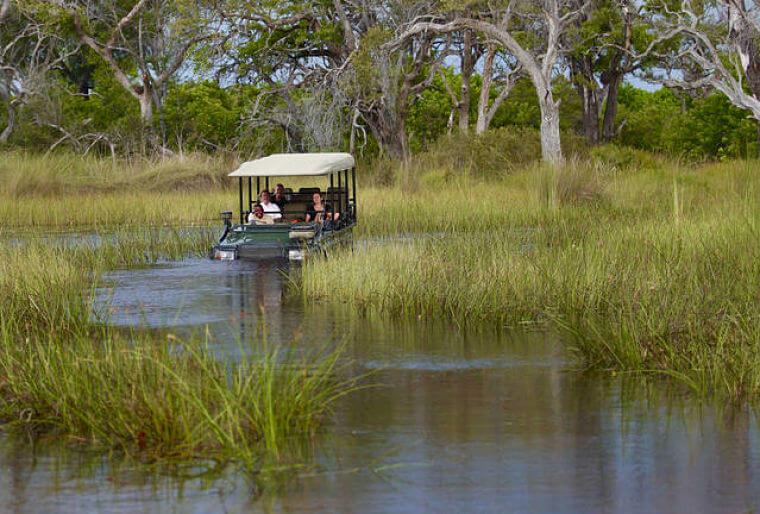 Game drive in Okavango Delta