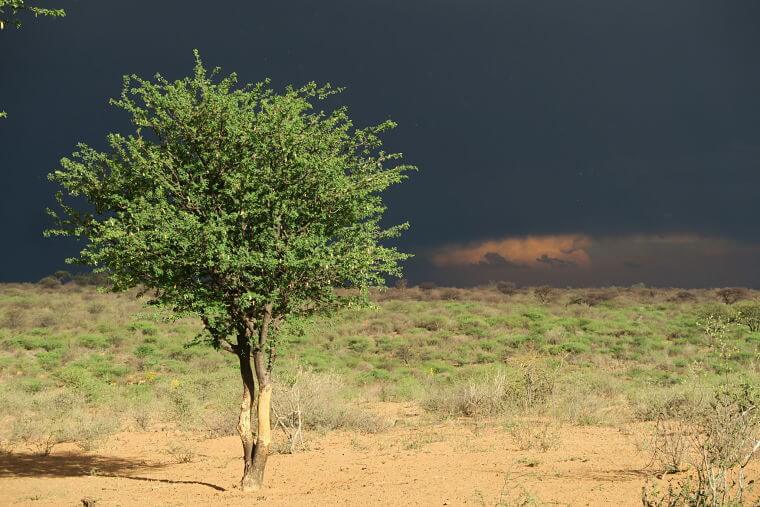 Zware onweerswolken boven Botswana