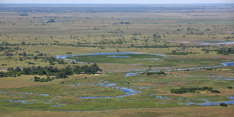 Selinda Spillway Botswana
