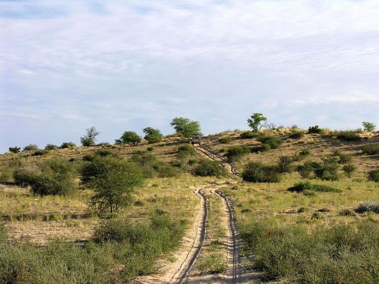 Kgalagadi Transfrontier Park, Wilderness trails, Botswana Zuid-Afrika