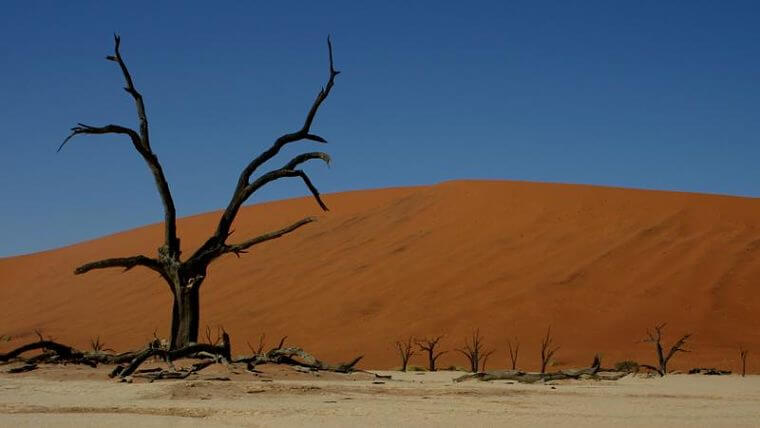 Dead Vlei bij Sossusvlei Namibië