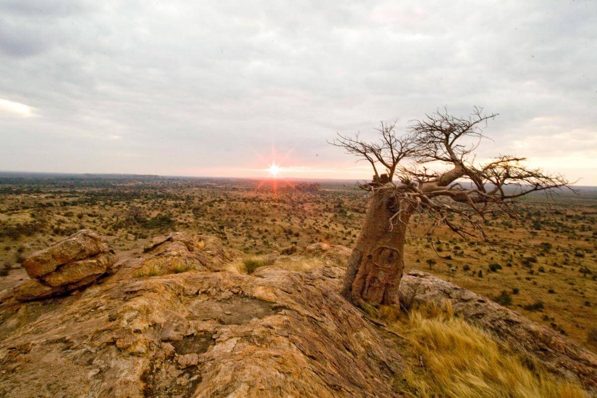 Mapungubwe Hill Northern Tuli Game Reserve Botswana