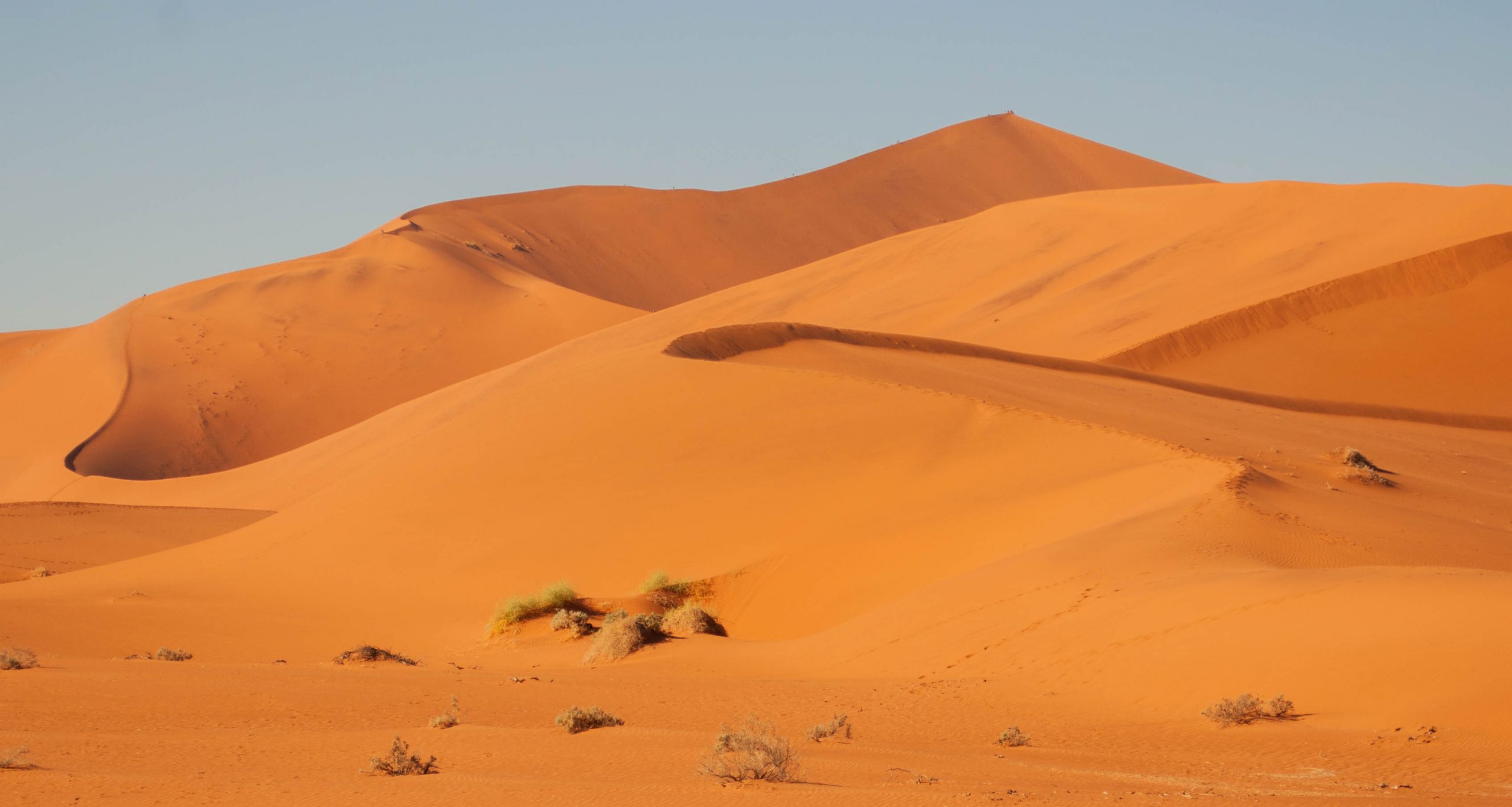 Selfdrive Namibie Sossusvlei zandduinen
