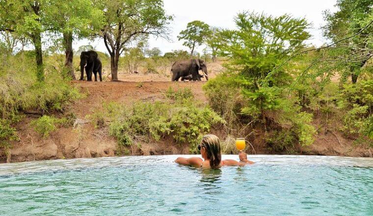 Imbali Safari Lodge Kruger National Park Zuid-Afrika