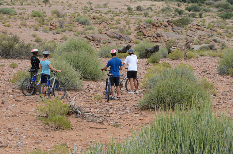 Noord Kaap game viewing per mountain bike Zuid-Afrika