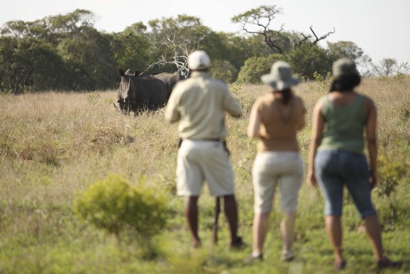 Wandel safari in Phinda Private Game Reserve Zuid-Afrika