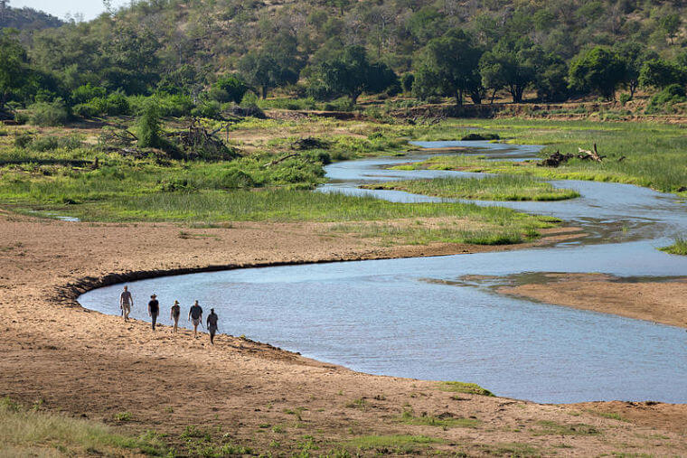 Wandel safari in Pafuri langs de Luvuvhu River Zuid-Afrika (@ Dook)