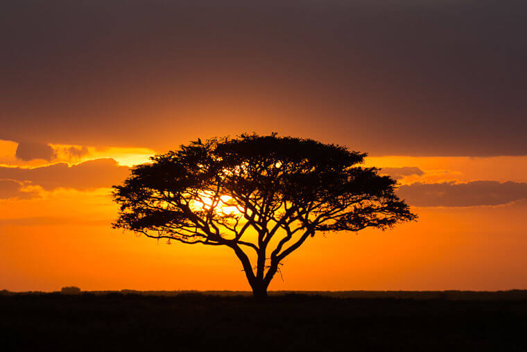 Karakteristieke zonsondergang boven Serengeti National Park Tanzania