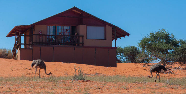 Dune chalet bij Bagatelle Kalahari Game Ranch Kalahari woestijn Namibië