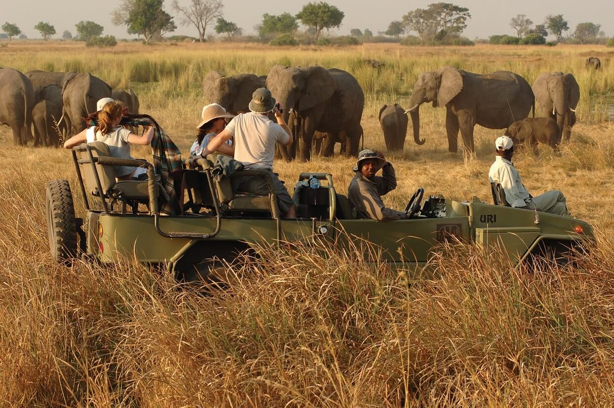 Game drive Botswana met olifanten