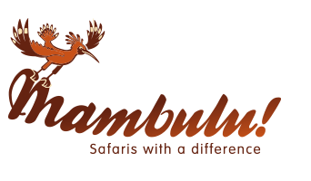 mambulu.com