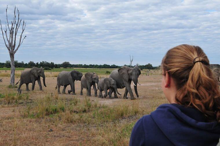 Familie van Houts op safari in Malawi en Zambia
