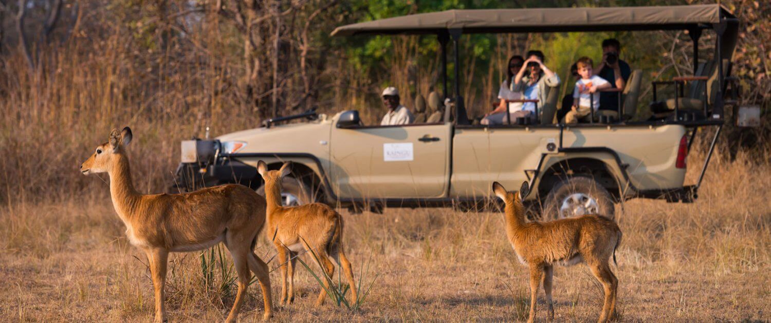 Game drive in Kafue National Park Zambia