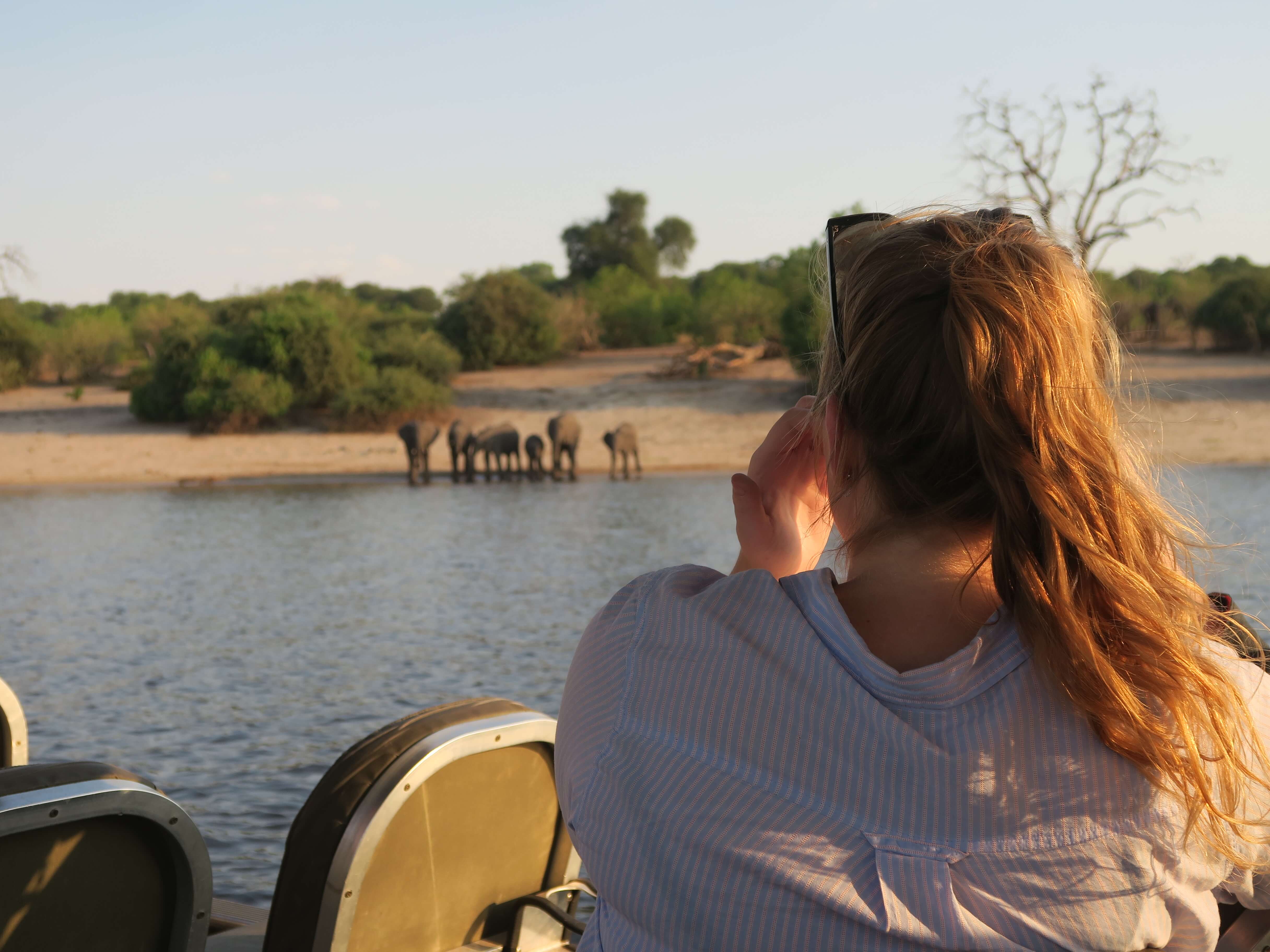 Olifanten tijdens boot safari Chobe rivier Botswana