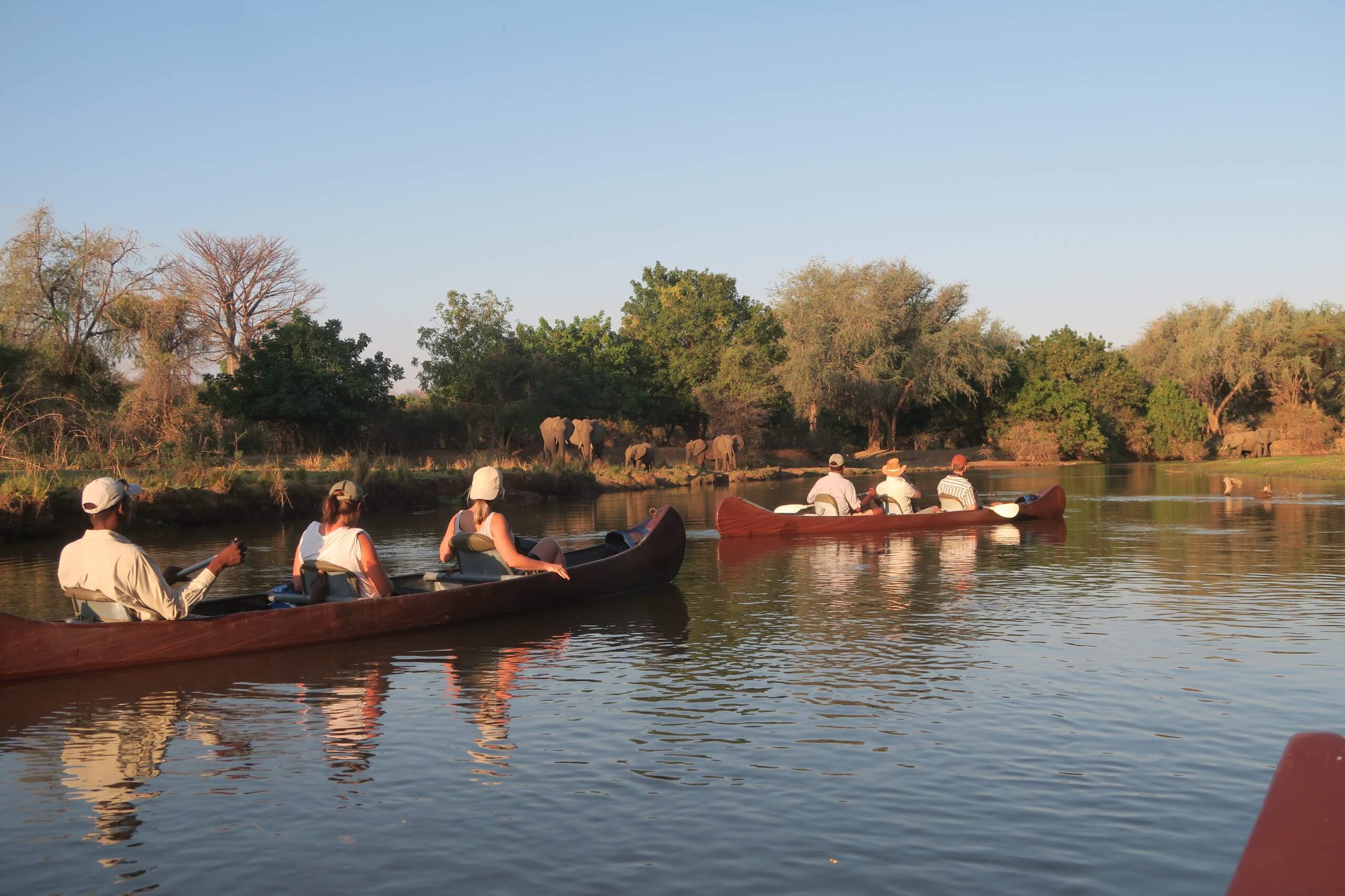 Lower Zambezi kanotocht