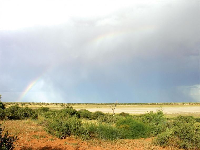 Kgalagadi Transfrontier Park Botswana