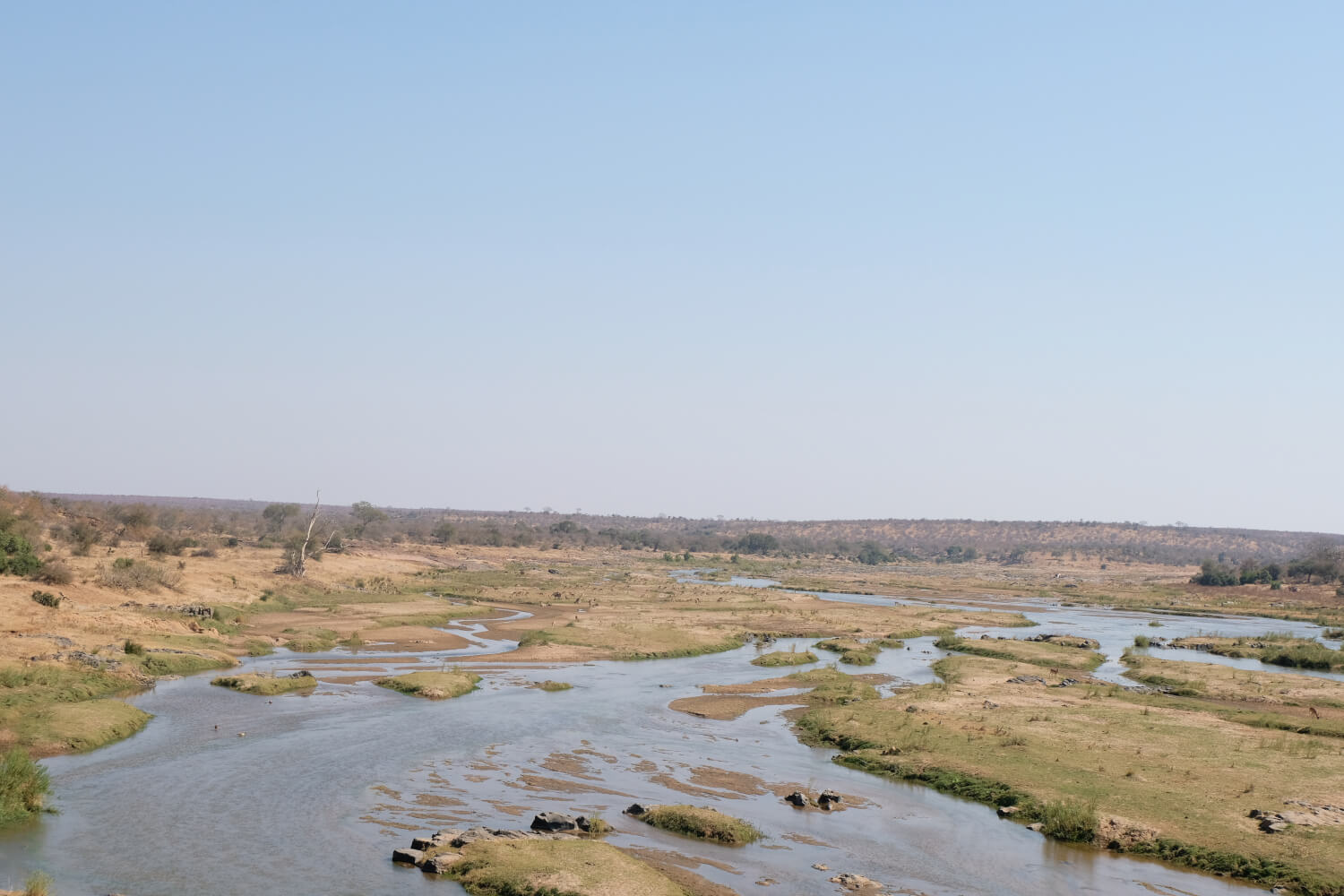 Kruger National Park, landschap met rivier, Zuid-Afrika