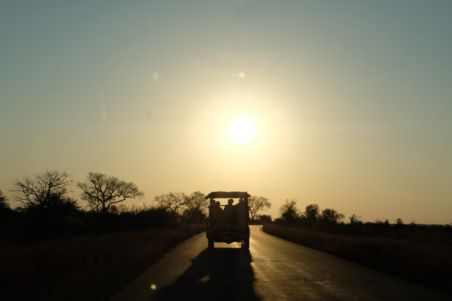 Kruger National Park, zonsondergang met auto, Zuid-Afrika