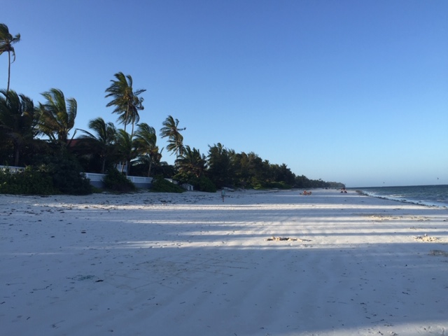 Witte zandstranden en palmen op Zanzibar