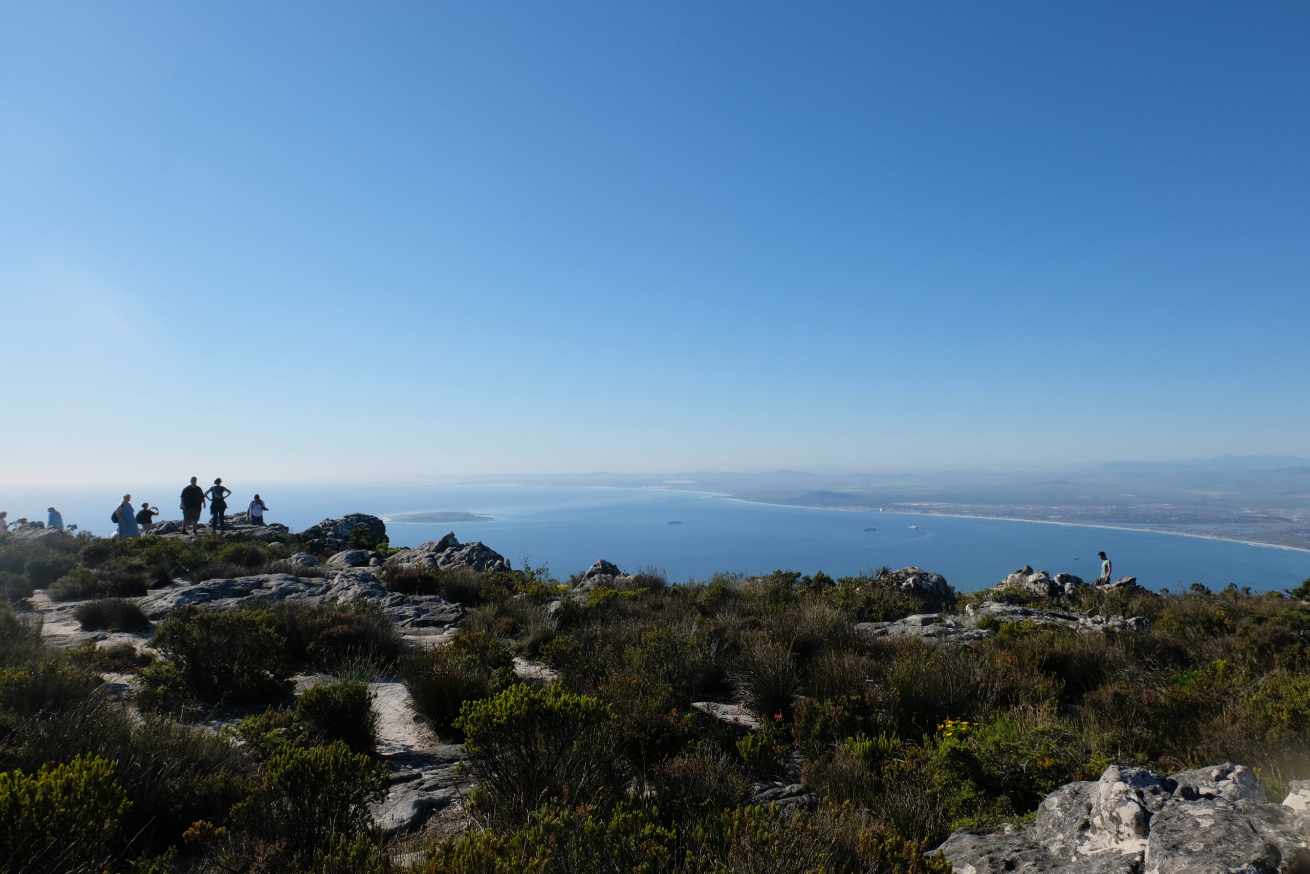 Bovenop de Tafelberg, Kaapstad, Zuid-Afrika