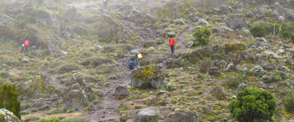 Beklimming Mt Kilimanjaro Tanzania