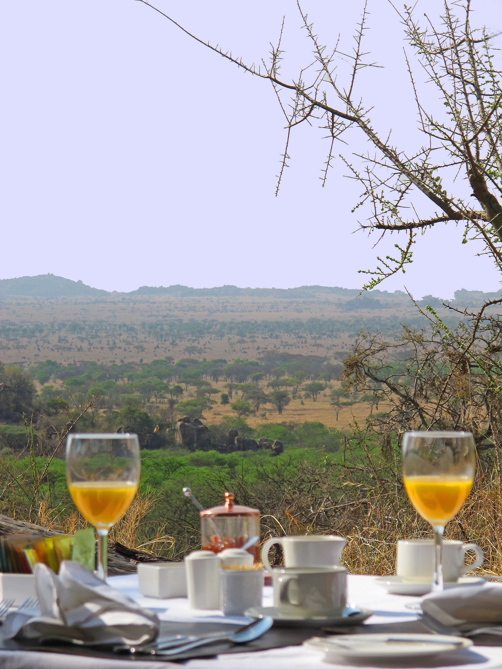 Ontbijt met uitzicht bij Pioneer Serengeti Camp Tanzania