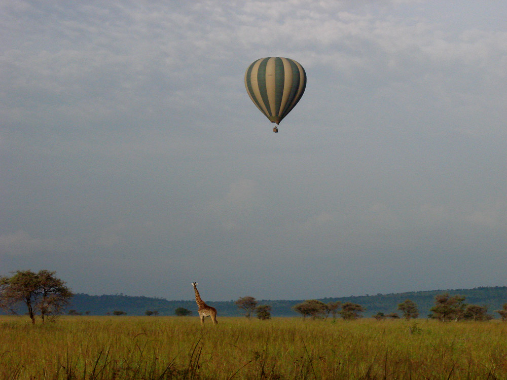 Ballonvaart, Serengeti, Tanzania