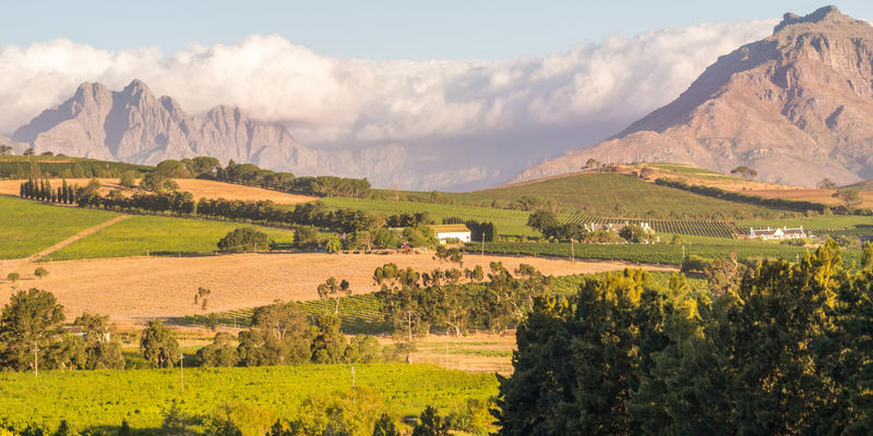 Stellenbosch in Kaapse Wijnlanden Zuid-Afrika