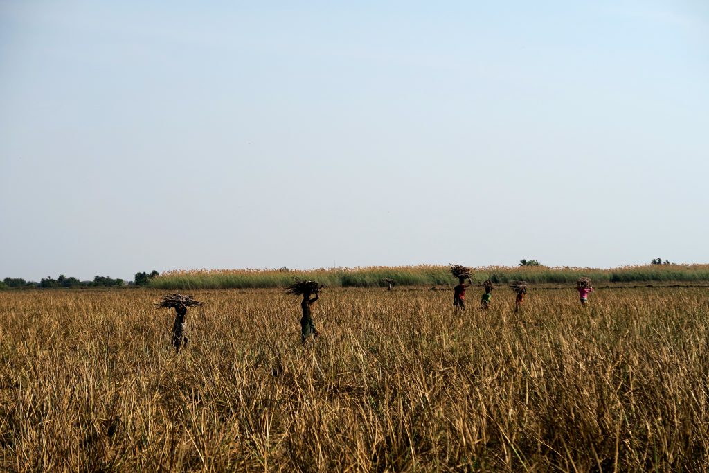 Locals in Bangweulu Swamps, Zambia