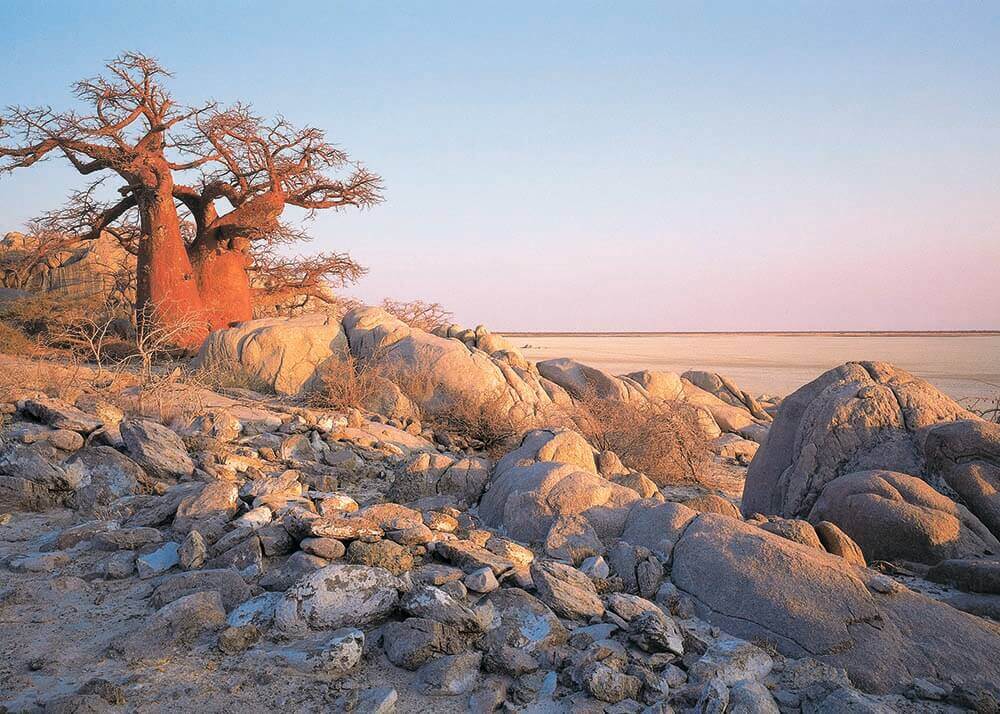 Kubu Island op Makgadikgadi Salt Pans Botswana