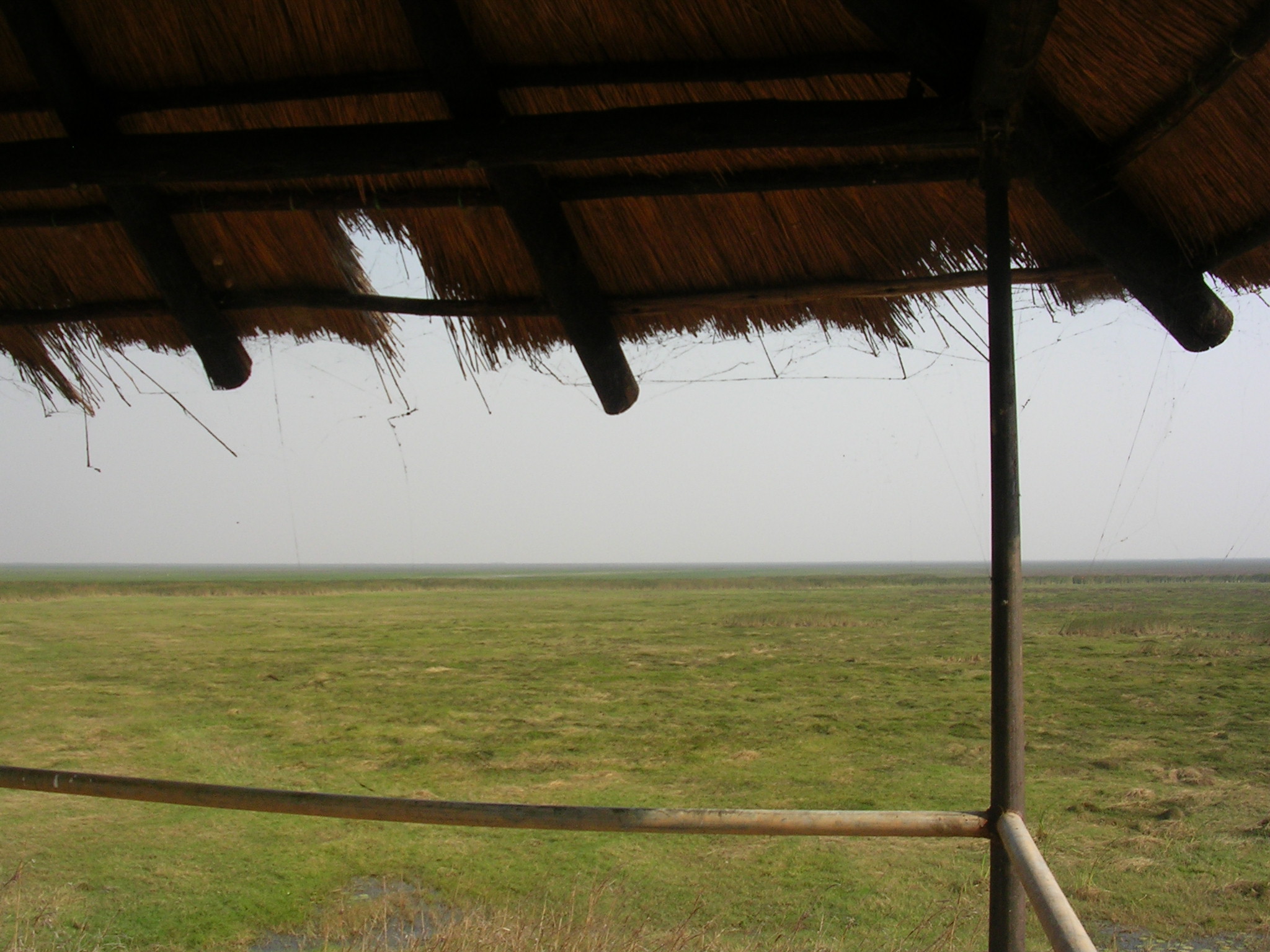 View from veranda in Lochinvar National Park Zambia