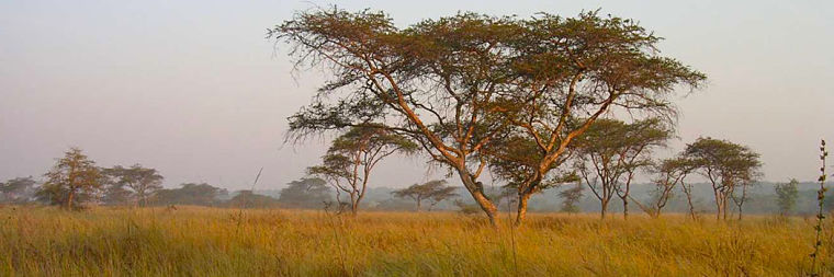 West Lunga National Park landschap Zambia