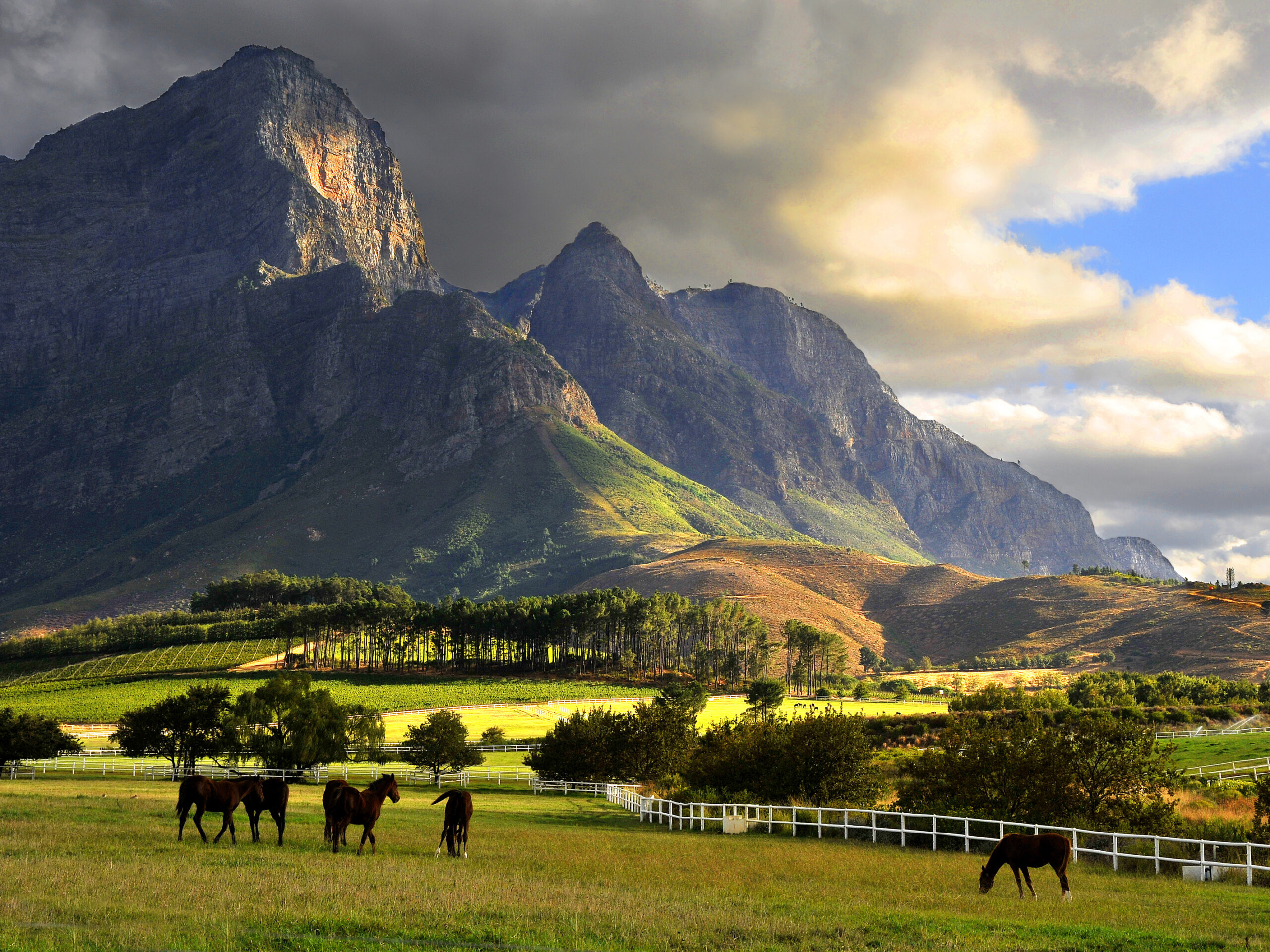 Bergen rondom Franschhoek Zuid-Afrika