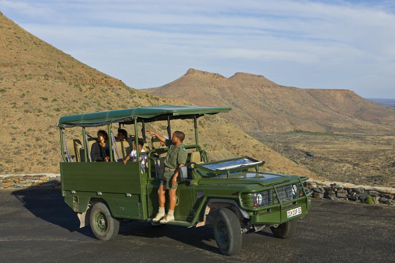 Game drive in Karoo National Park Zuid-Afrika