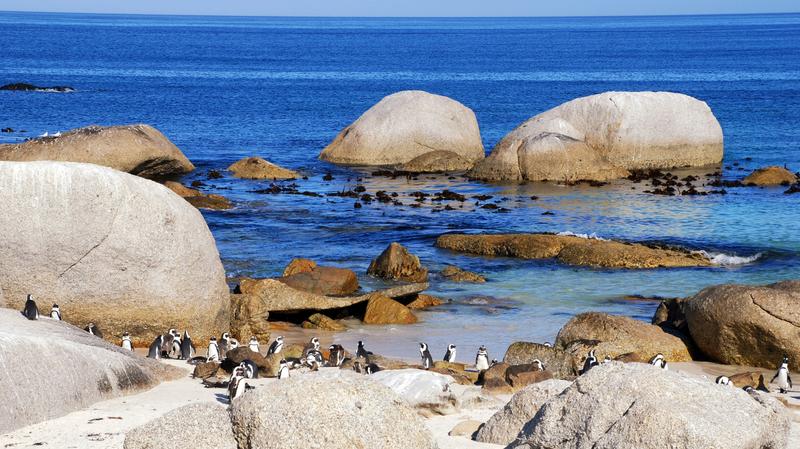 Granieten rotsen bij Boulders Beach Zuid-Afrika