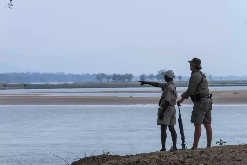 Wandel safari langs Zambezi rivier in Mana Pools Zimbabwe